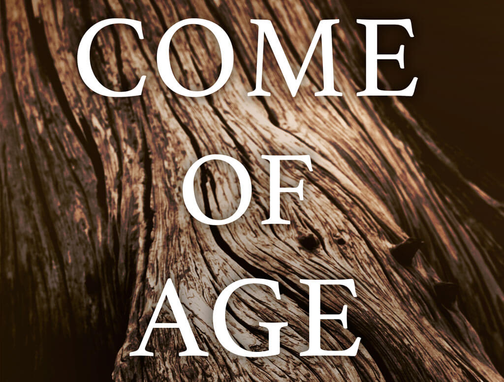 Come of Age - Image 3