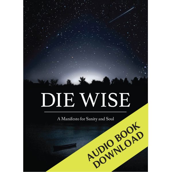 DIE WISE - Image 3